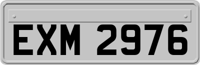 EXM2976