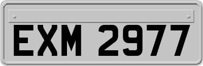 EXM2977