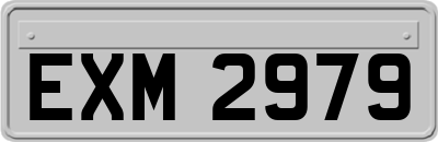 EXM2979