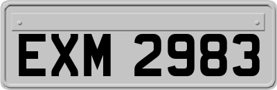 EXM2983