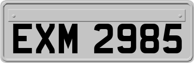 EXM2985