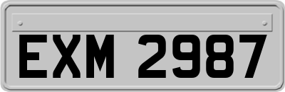 EXM2987