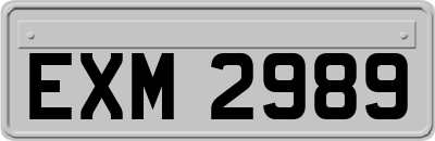 EXM2989