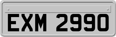 EXM2990
