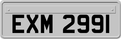 EXM2991