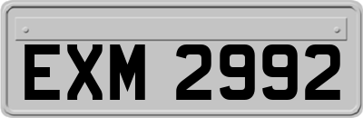 EXM2992