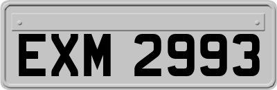 EXM2993