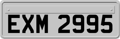 EXM2995