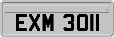 EXM3011