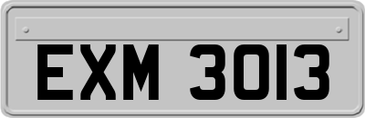 EXM3013
