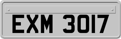 EXM3017