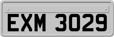 EXM3029