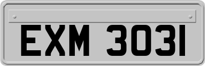 EXM3031