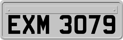 EXM3079
