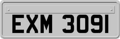 EXM3091