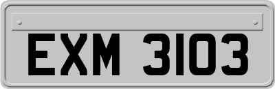 EXM3103