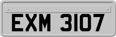 EXM3107