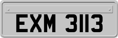 EXM3113