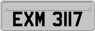 EXM3117