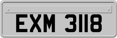 EXM3118