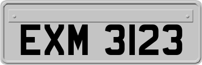 EXM3123
