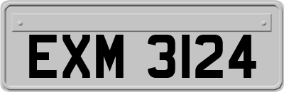 EXM3124