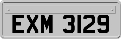 EXM3129