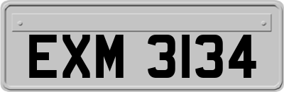EXM3134