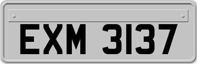 EXM3137