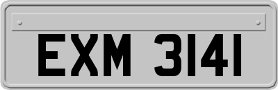 EXM3141