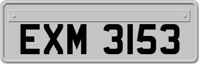 EXM3153