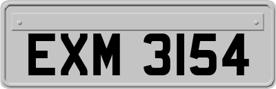 EXM3154