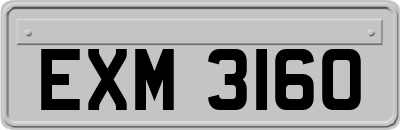 EXM3160
