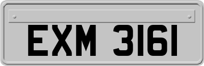 EXM3161