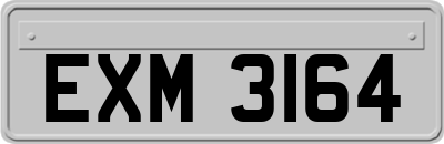 EXM3164