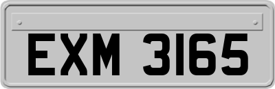 EXM3165