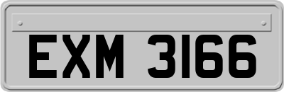 EXM3166