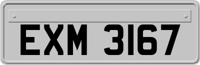 EXM3167