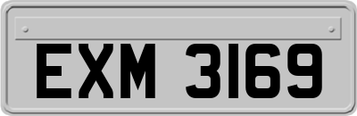 EXM3169