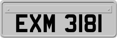 EXM3181