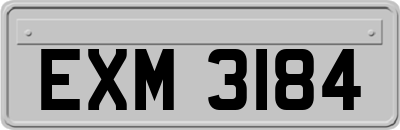 EXM3184