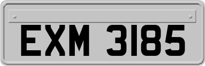 EXM3185