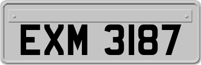 EXM3187
