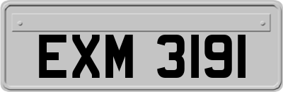 EXM3191