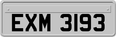EXM3193