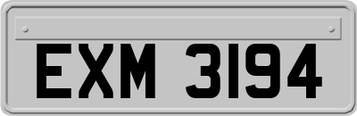 EXM3194