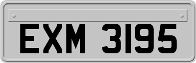EXM3195