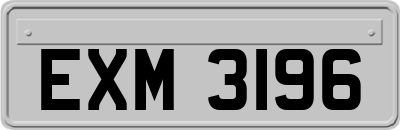 EXM3196