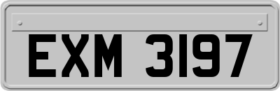 EXM3197