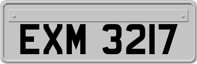 EXM3217